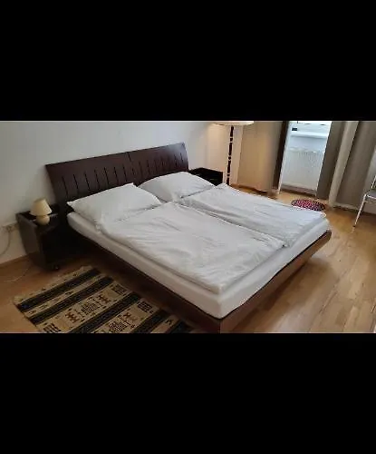 Appartement Schoene Altbauwohnung Zentrum Brigittenauer Laende 32 Vienne